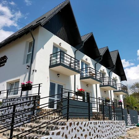 Conacul Doamnei Nucsoara Otel Dış mekan fotoğraf