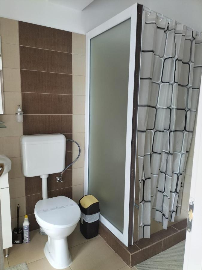 Conacul Doamnei Nucsoara Otel Dış mekan fotoğraf