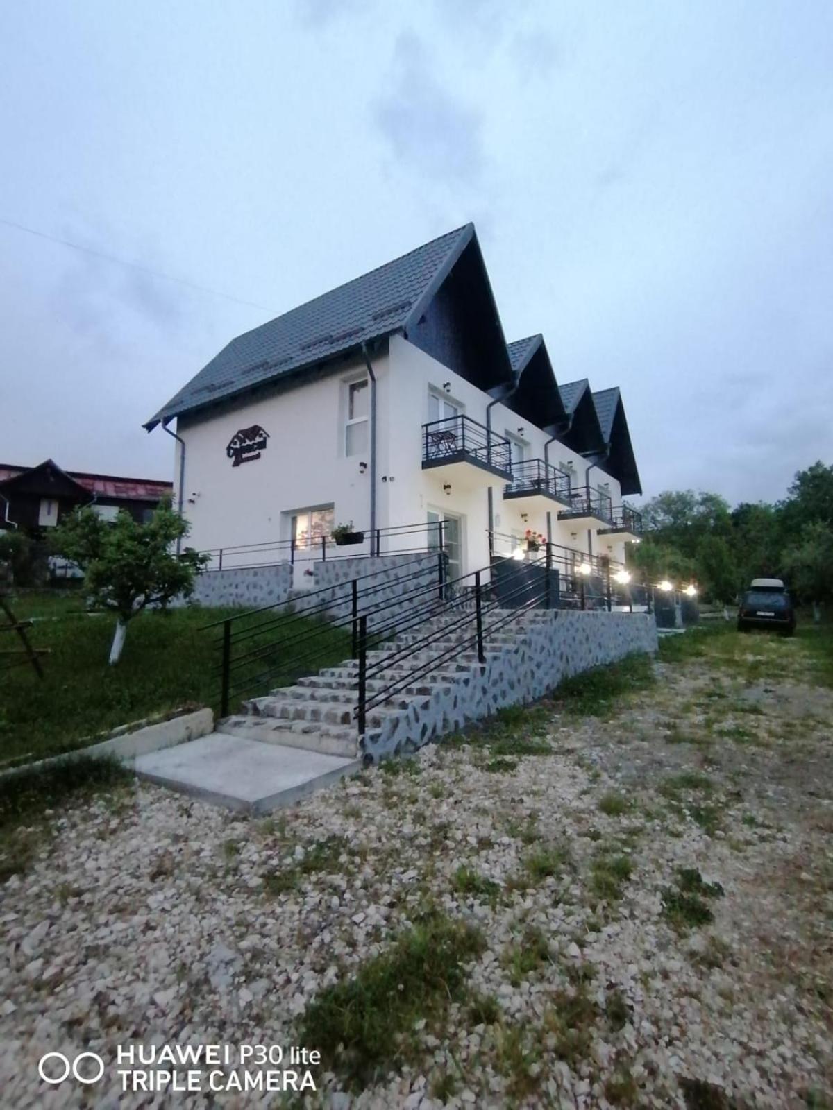 Conacul Doamnei Nucsoara Otel Dış mekan fotoğraf