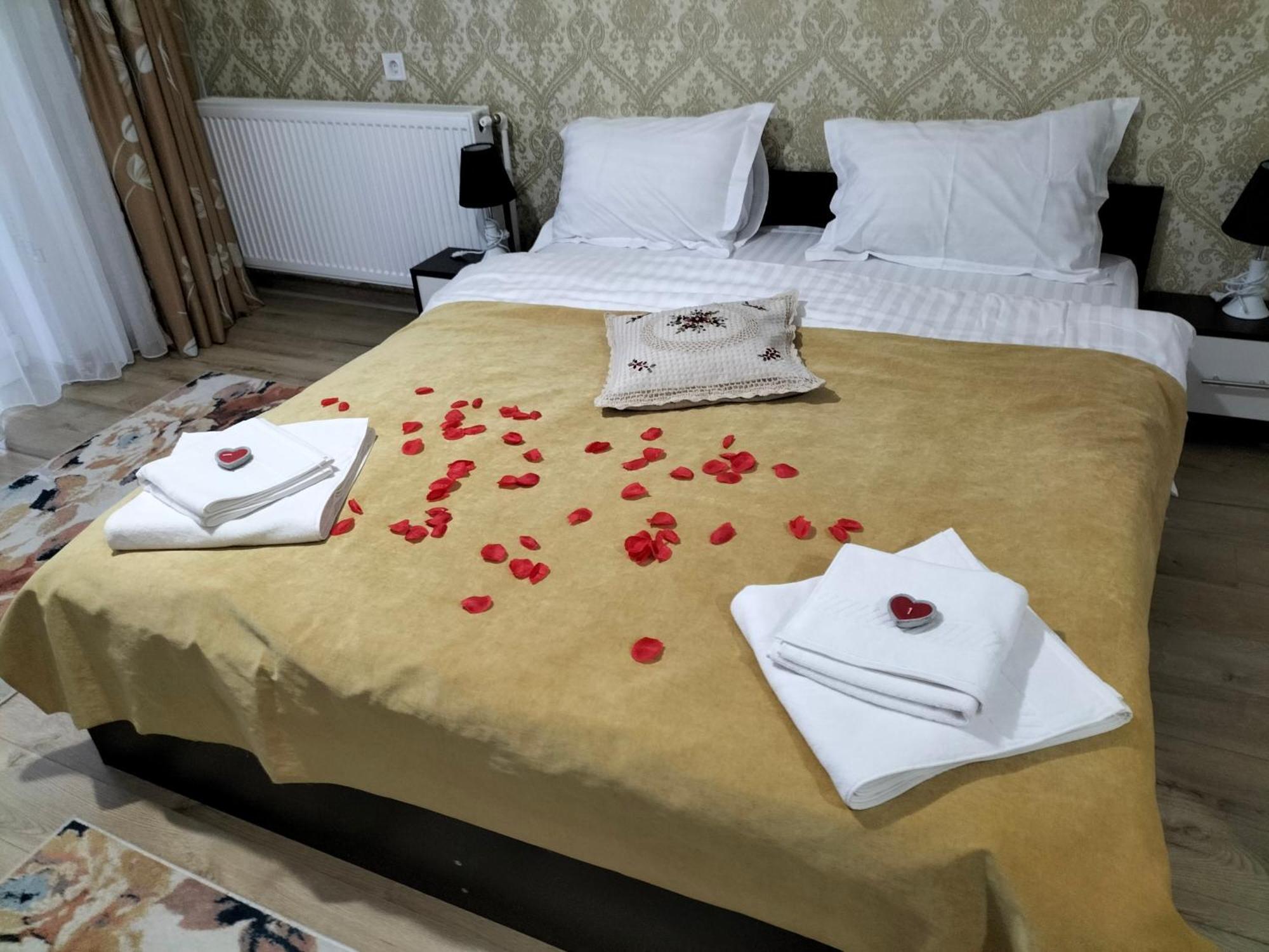 Conacul Doamnei Nucsoara Otel Dış mekan fotoğraf