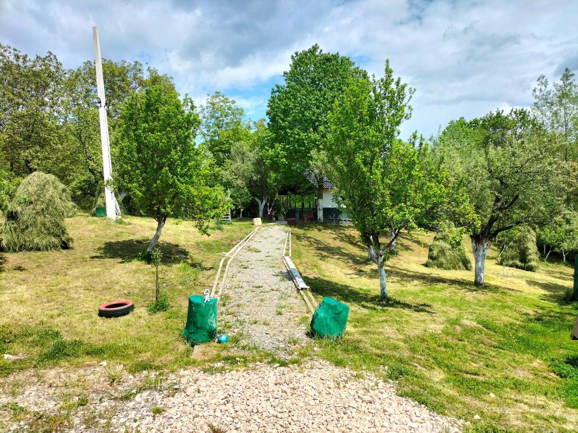 Conacul Doamnei Nucsoara Otel Dış mekan fotoğraf